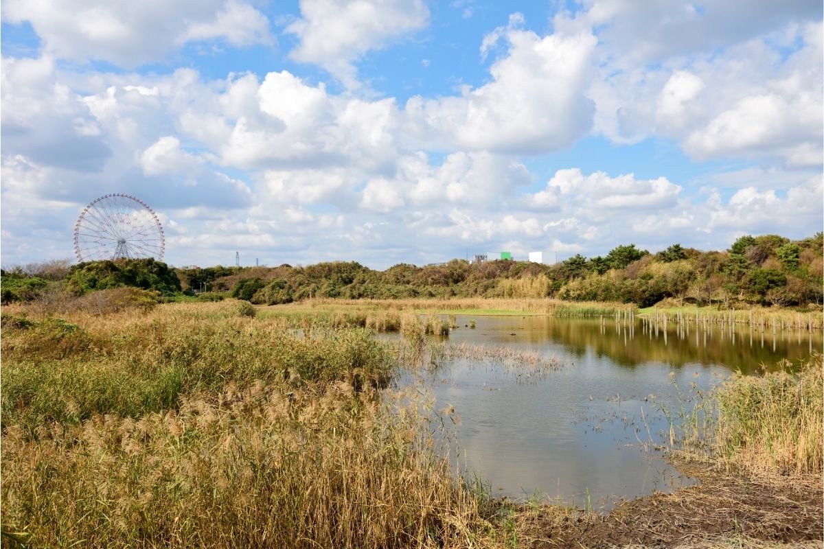 Kasai Rinkai Park 