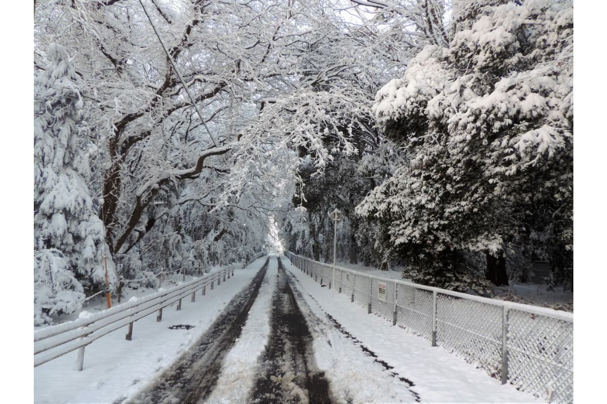 Does It Snow In Tokyo