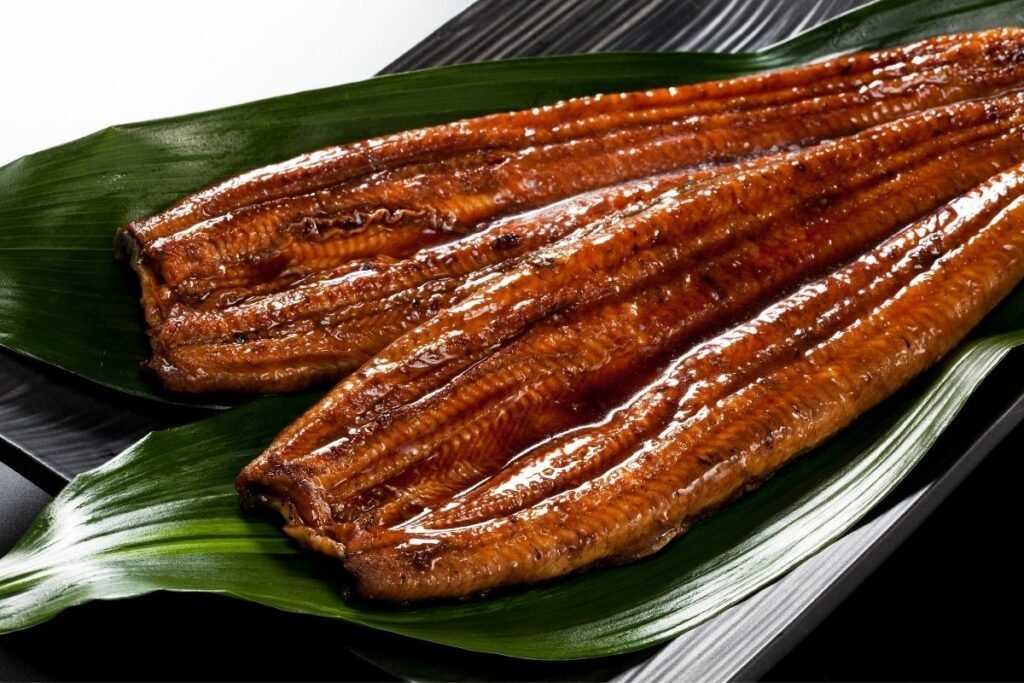 What-Is-Unagi