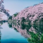 Best Time To Visit Japan For Cherry Blossoms