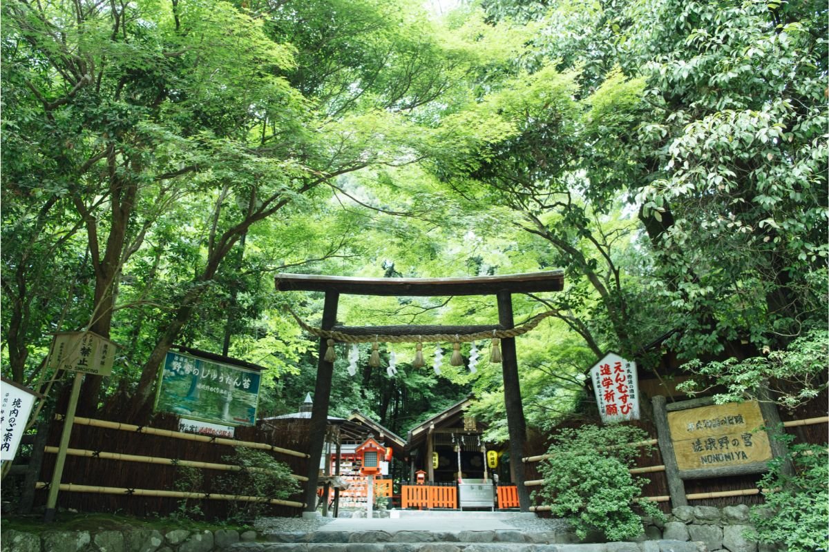 7 Beautiful Japanese Shrines To Visit