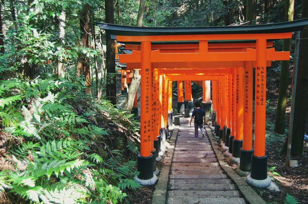 people walking on wooden bridge
