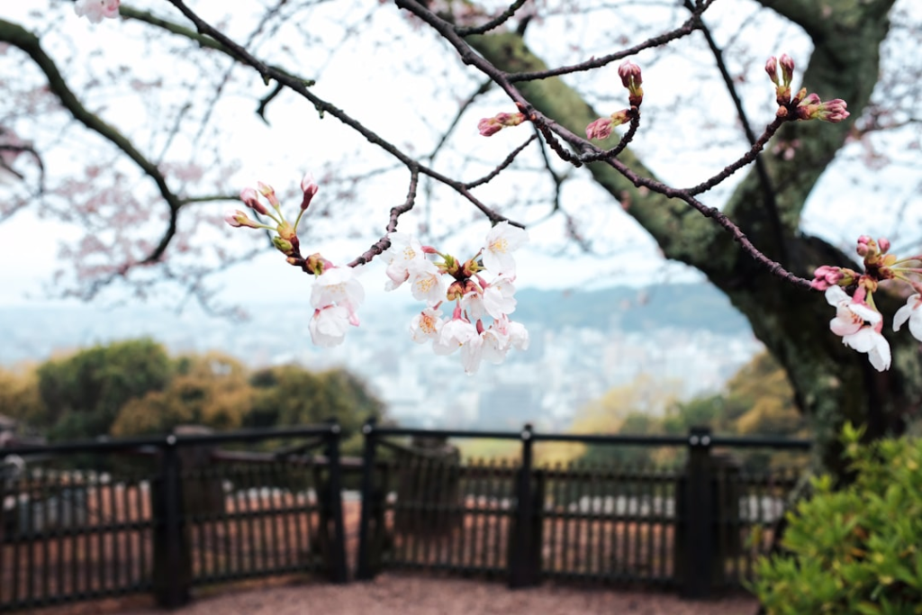 Matsuyama Castle